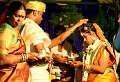 The Wedding